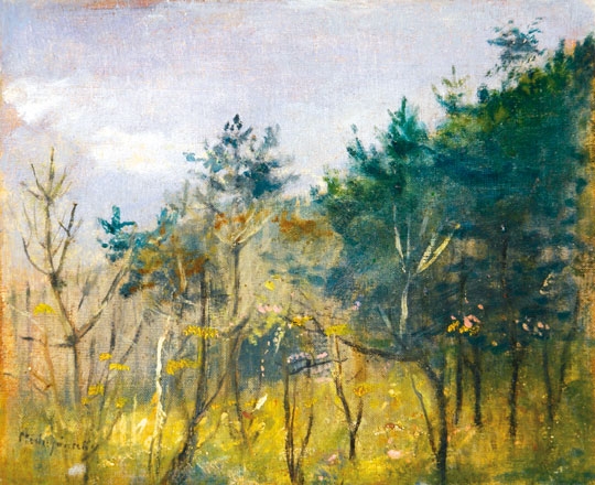 Mednyánszky László (1852-1919) Budding trees