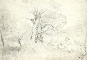 Mednyánszky László (1852-1919) Study of Trees