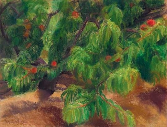 Szobotka Imre (1890-1961) Peach trees