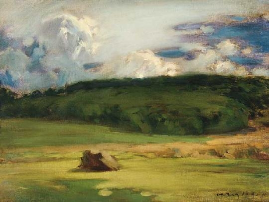 Vaszary János (1867-1939) Sunny meadow, 1905
