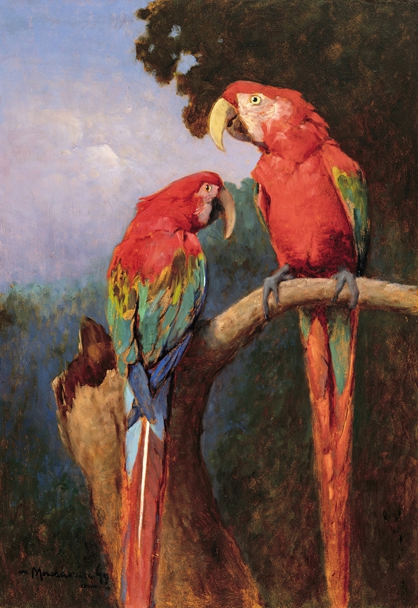 Madarász Gyula (1858-1931) Parakeets