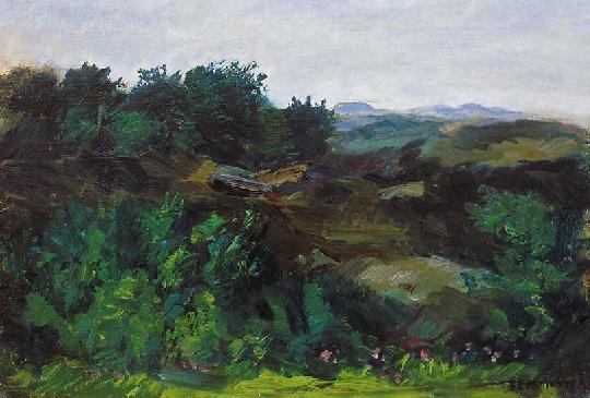 Perlmutter Izsák (1866-1932) Verdant hills