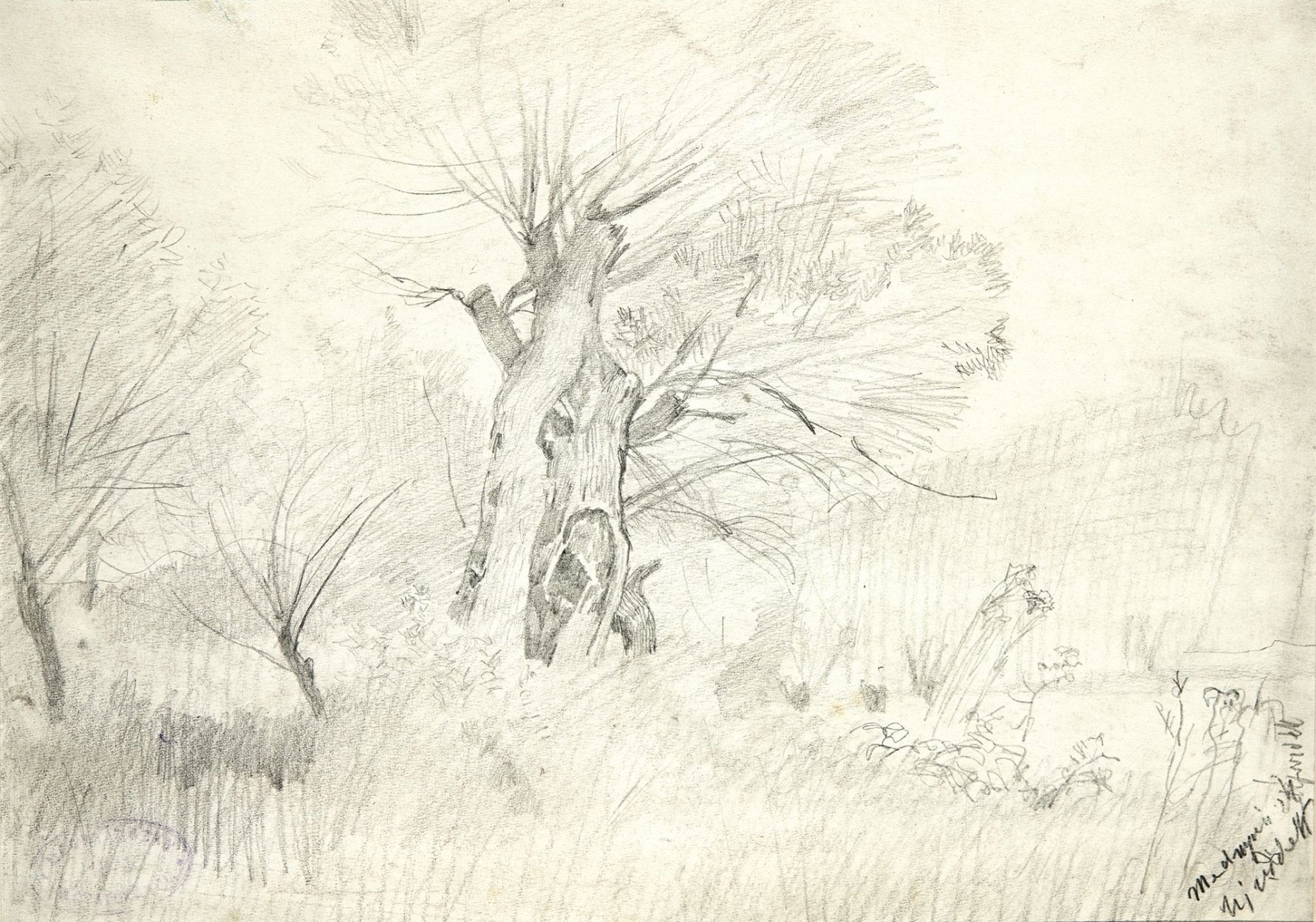 Mednyánszky László (1852-1919) Study of a Tree