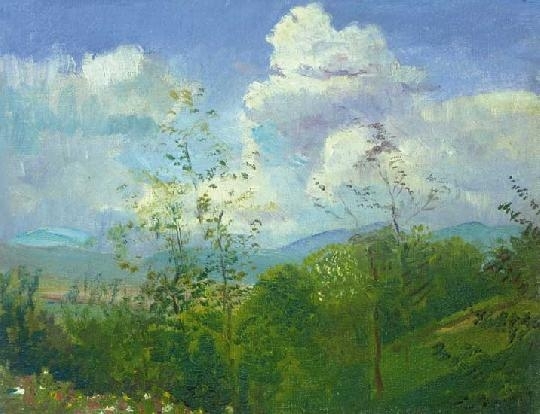 Mednyánszky László (1852-1919) Flowery hill-side