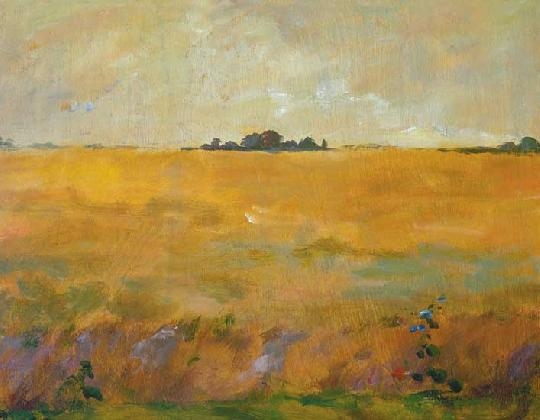 Tornyai János (1869-1936) Mártély landscape, 1907