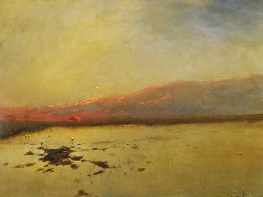 K. Spányi Béla (1852-1914) Marshy landscape with storks