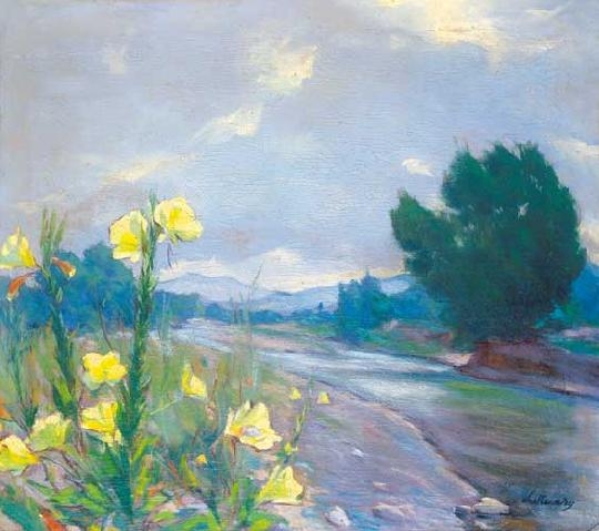 Litteczky Endre (1880-1953) The Lápos in spring time