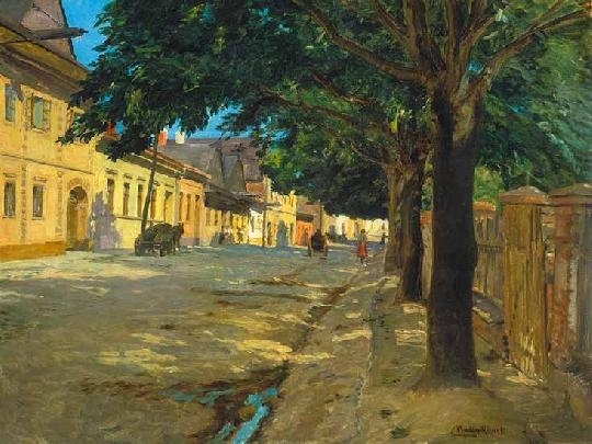 Nádler Róbert (1858-1938) Street in Felka