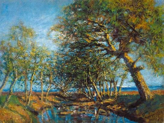 Mednyánszky László (1852-1919) Trees by the brook