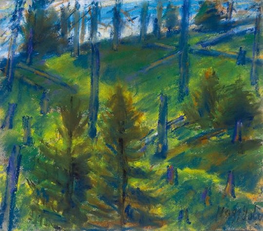 Nagy István (1873-1937) Pine-forest on the hill-side
