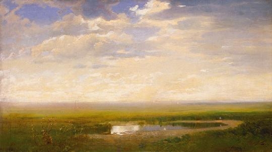 Telepy Károly (1828-1906) Landscape with marsh, 1897
