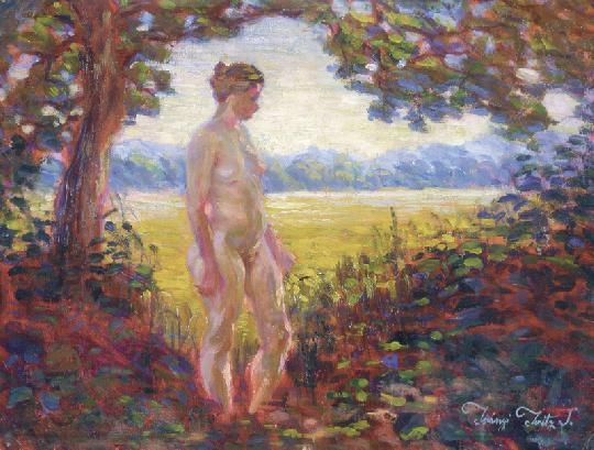 Irányi Iritz Sándor (1890-1975) Nude in landscape (After bathing)