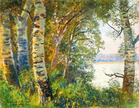 Mednyánszky László (1852-1919) Lakeside landscape