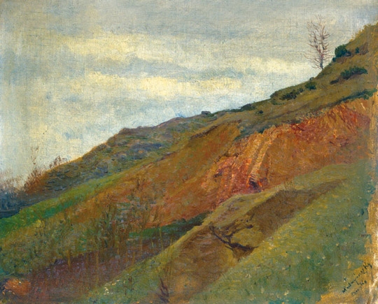 Mednyánszky László (1852-1919) Hillside at Beczko