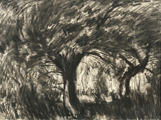 Nagy István (1873-1937) Trees in the swamp, 1924