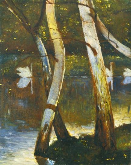 Faragó Géza (1877-1928) Swans' lake, 1926