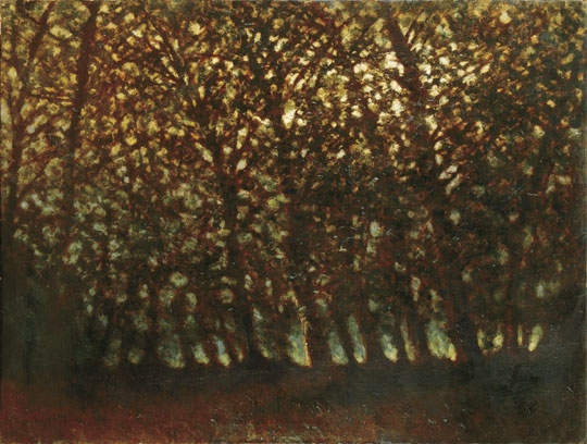 Mednyánszky László (1852-1919) Forest in autumn light