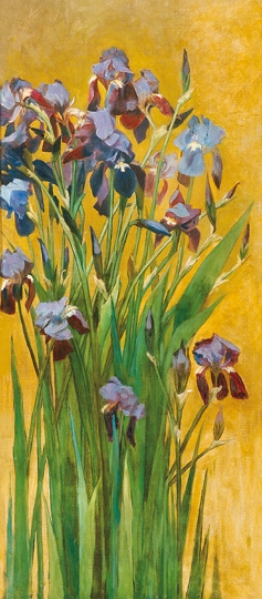 Zsolnay Júlia (1856-1950) Irises