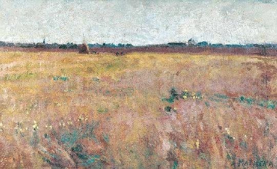 Maticska Jenő (1885-1906) Meadow