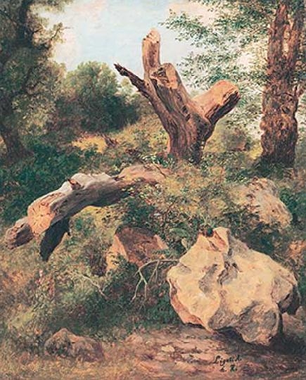 Ligeti Antal (1823-1890) Erdő mélyén