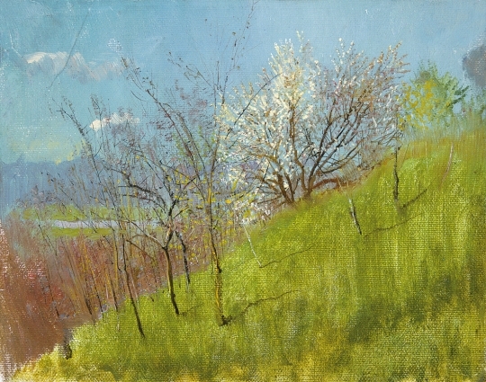 Mednyánszky László (1852-1919) Springtime mountainside, first part of the 1890s