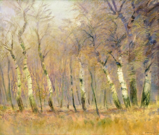 Mednyánszky László (1852-1919) Birch forest