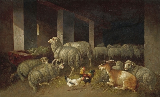 Pállik Béla (1845-1908) Sheeps
