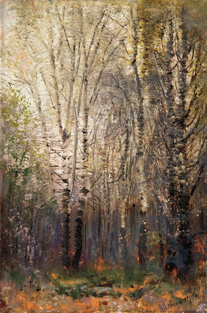 Mednyánszky László (1852-1919) Birch-wood in City Park