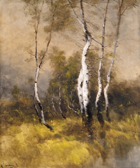 K. Spányi Béla (1852-1914) Birch trees