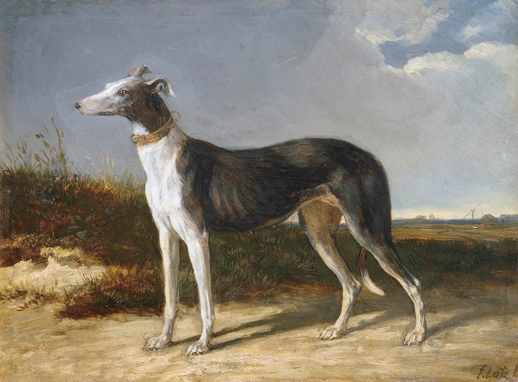 Lotz Károly (1833-1904) Greyhound