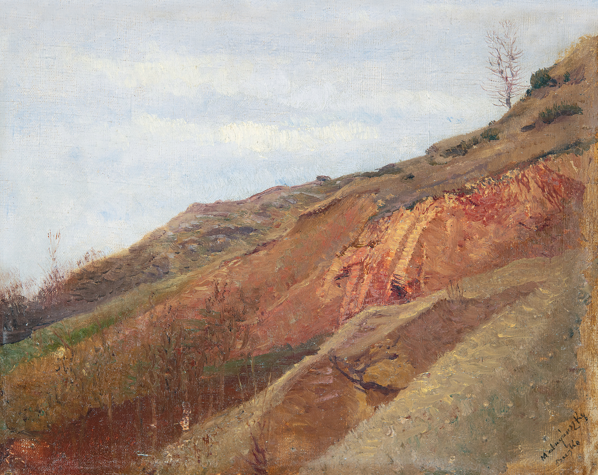 Mednyánszky László (1852-1919) Hillside in Beckó