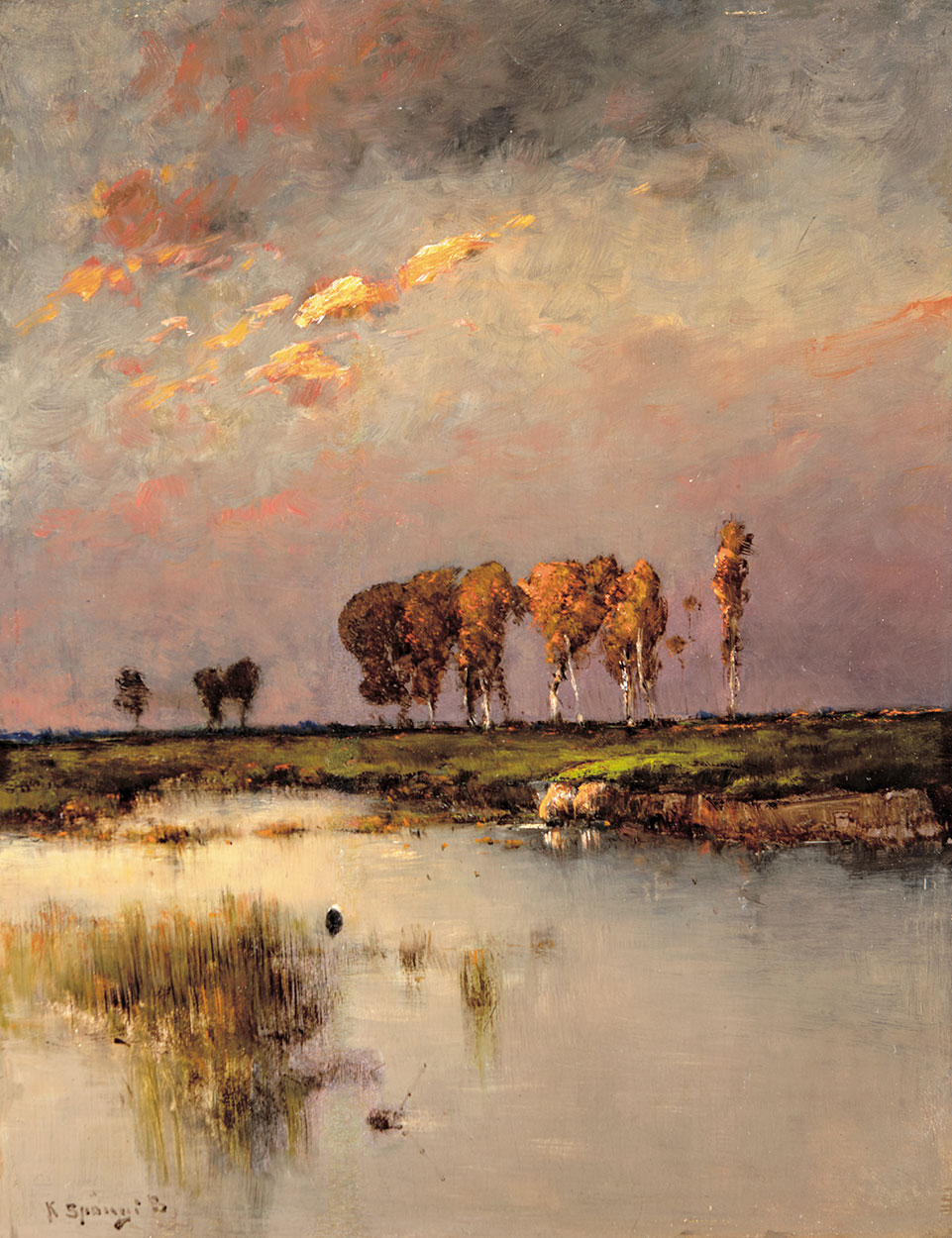 K. Spányi Béla (1852-1914) Wetlands